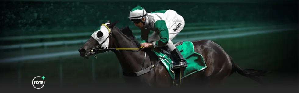 知识产权成,就斐然,数据展现辉,开云登录入口,开云平台,开云注册网址,开云app,开云官网,开云网站,开云网页版