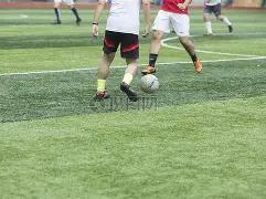 波波维奇或,退役,马刺或重返,开云登录入口,开云平台,开云注册网址,开云app,开云官网,开云网站,开云网页版