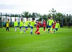 连战连捷,近两日,专场喜提双,开云登录入口,开云平台,开云注册网址,开云app,开云官网,开云网站,开云网页版