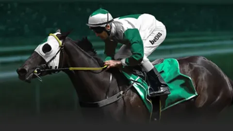 知识产权成就斐然：数据展现辉煌“高分”成绩单