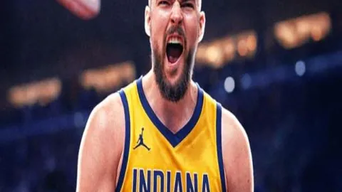 kaiyun·开云（中国）