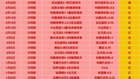 kaiyun·开云（中国）